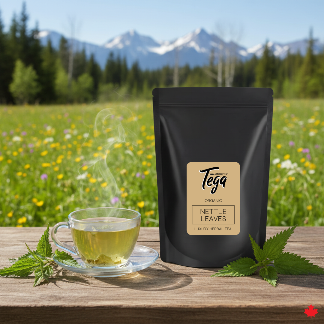 Nettle Herbal Tea Organic