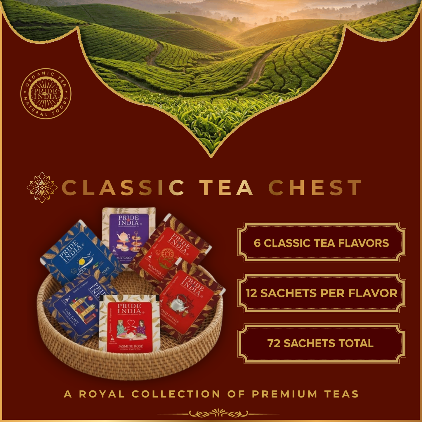 Essential Tea Bundle – 6 Flavors, 72 Tea Bags