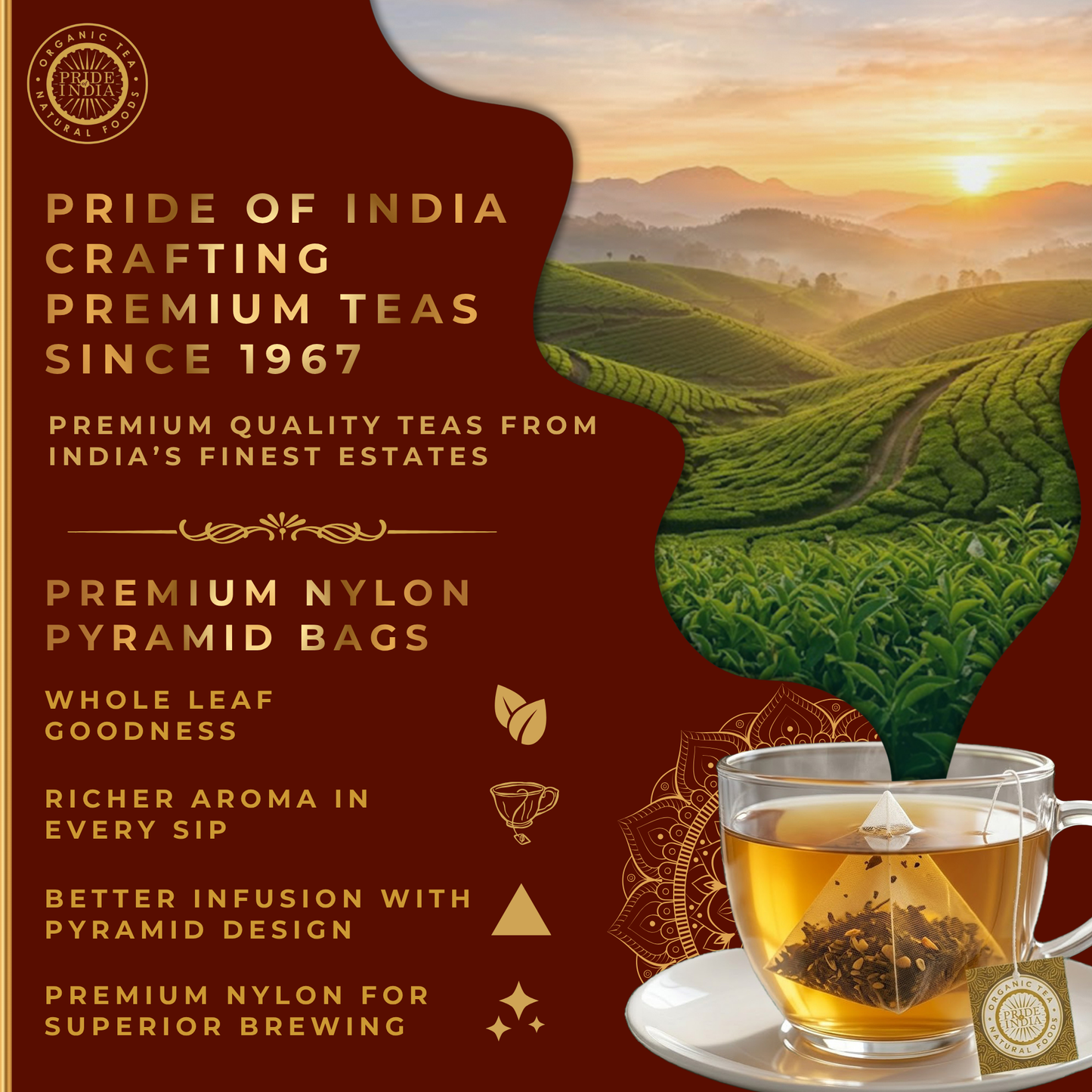 Essential Tea Bundle – 6 Flavors, 72 Tea Bags