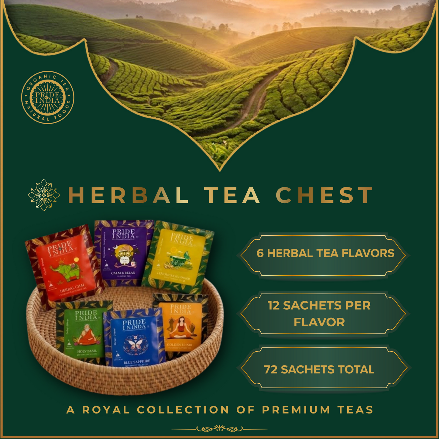 Essential Tea Bundle – 6 Flavors, 72 Tea Bags