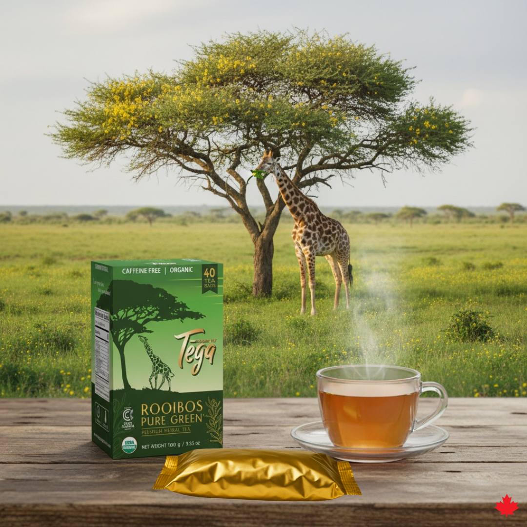 Organic Green Rooibos Value Pack 40ct